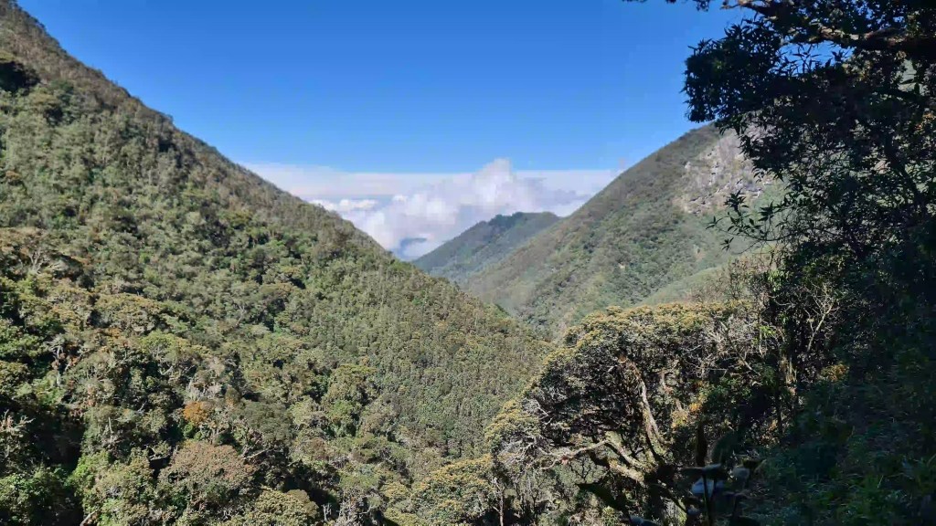 Rutas de senderismo imperdibles en Salento