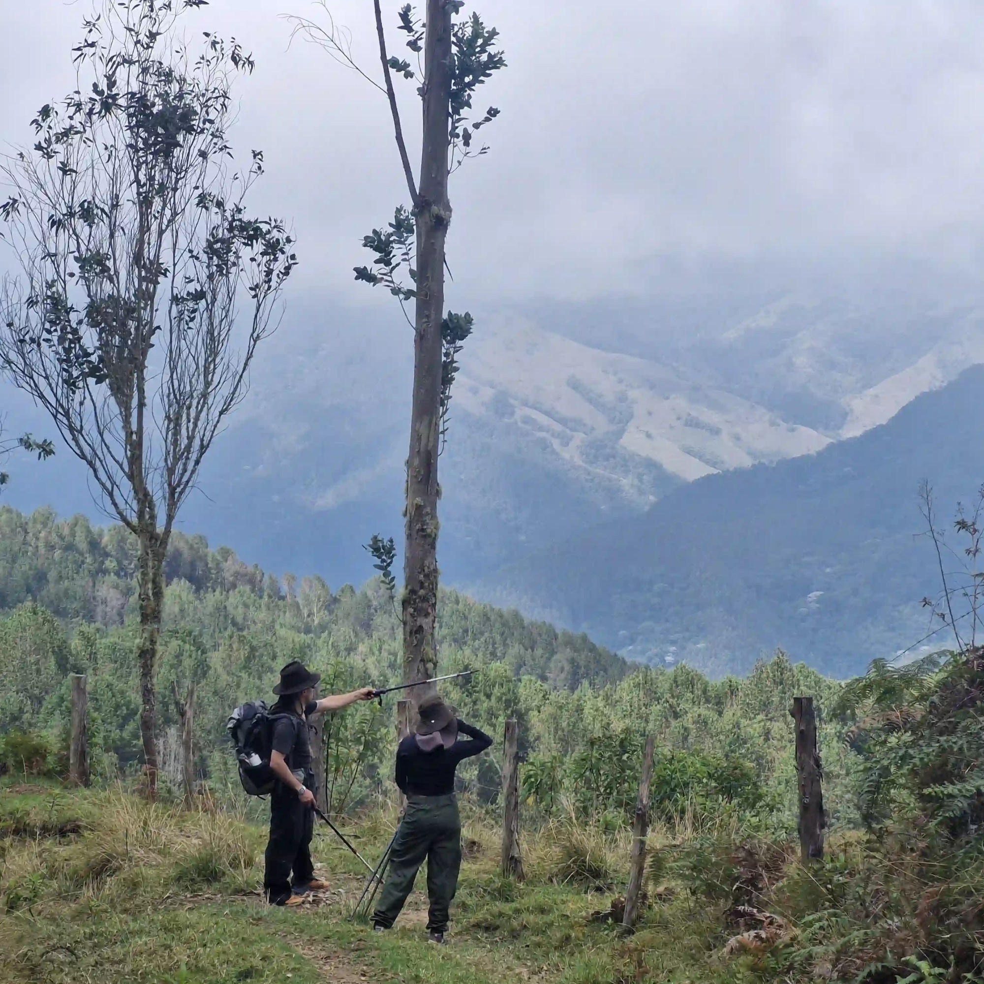Vista del Camino Nacional en el Quindío con paisajes montañosos