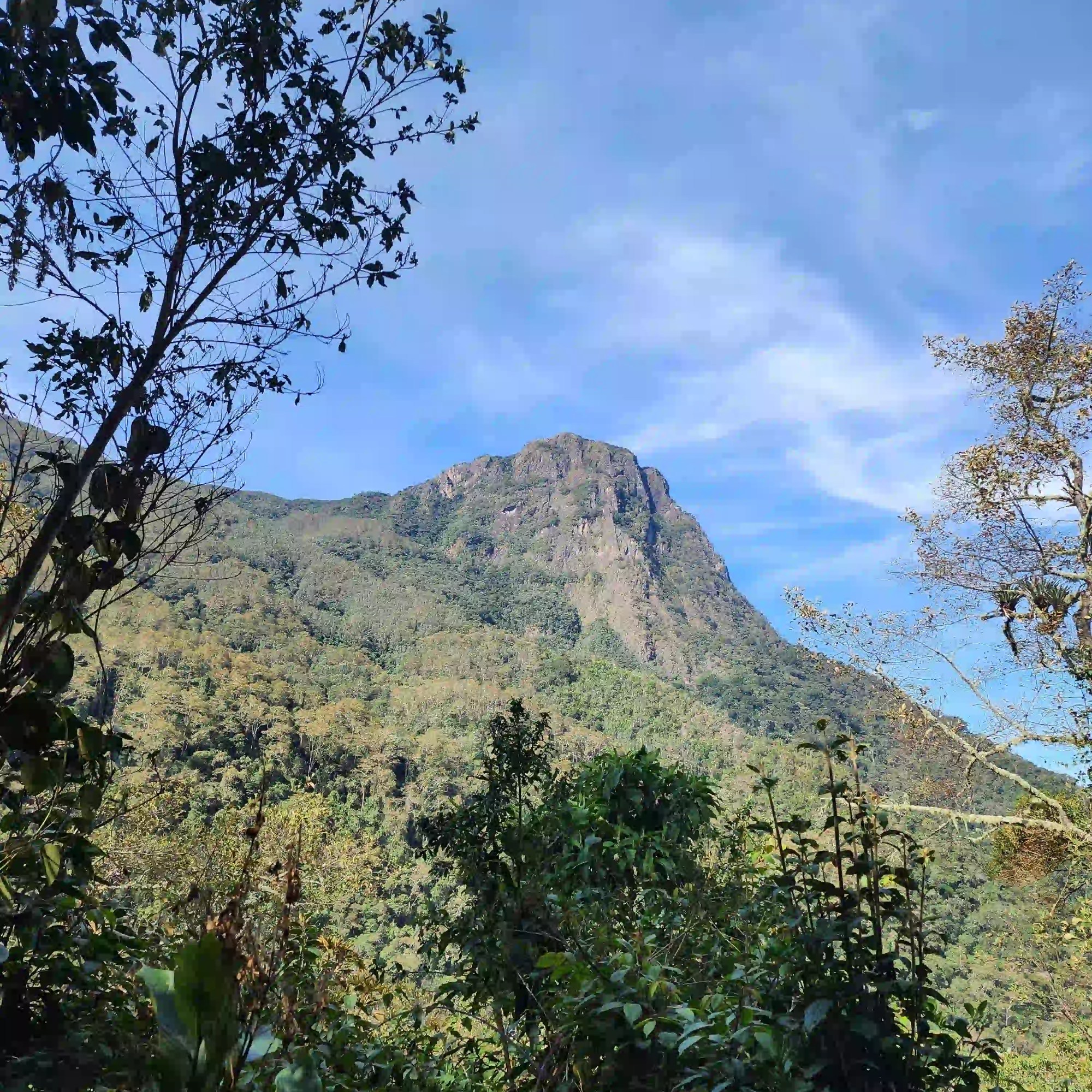 Cerro morrogacho ideal para senderismo en el Quindío