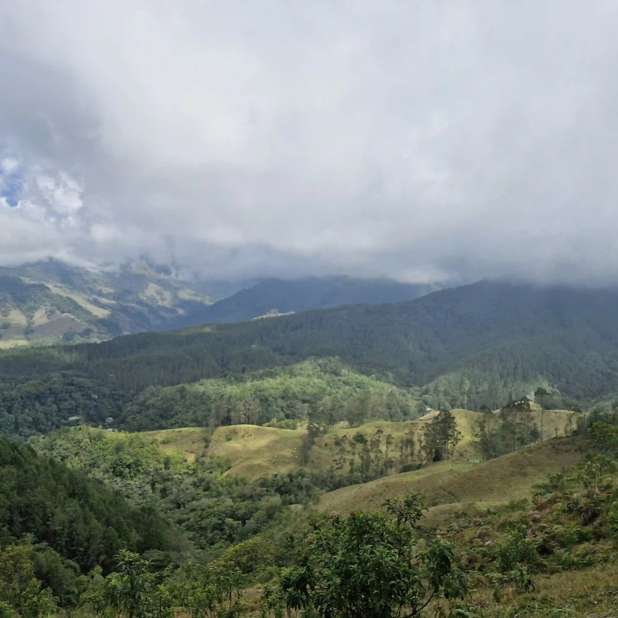 Panorámica desde un punto alto del Camino Nacional