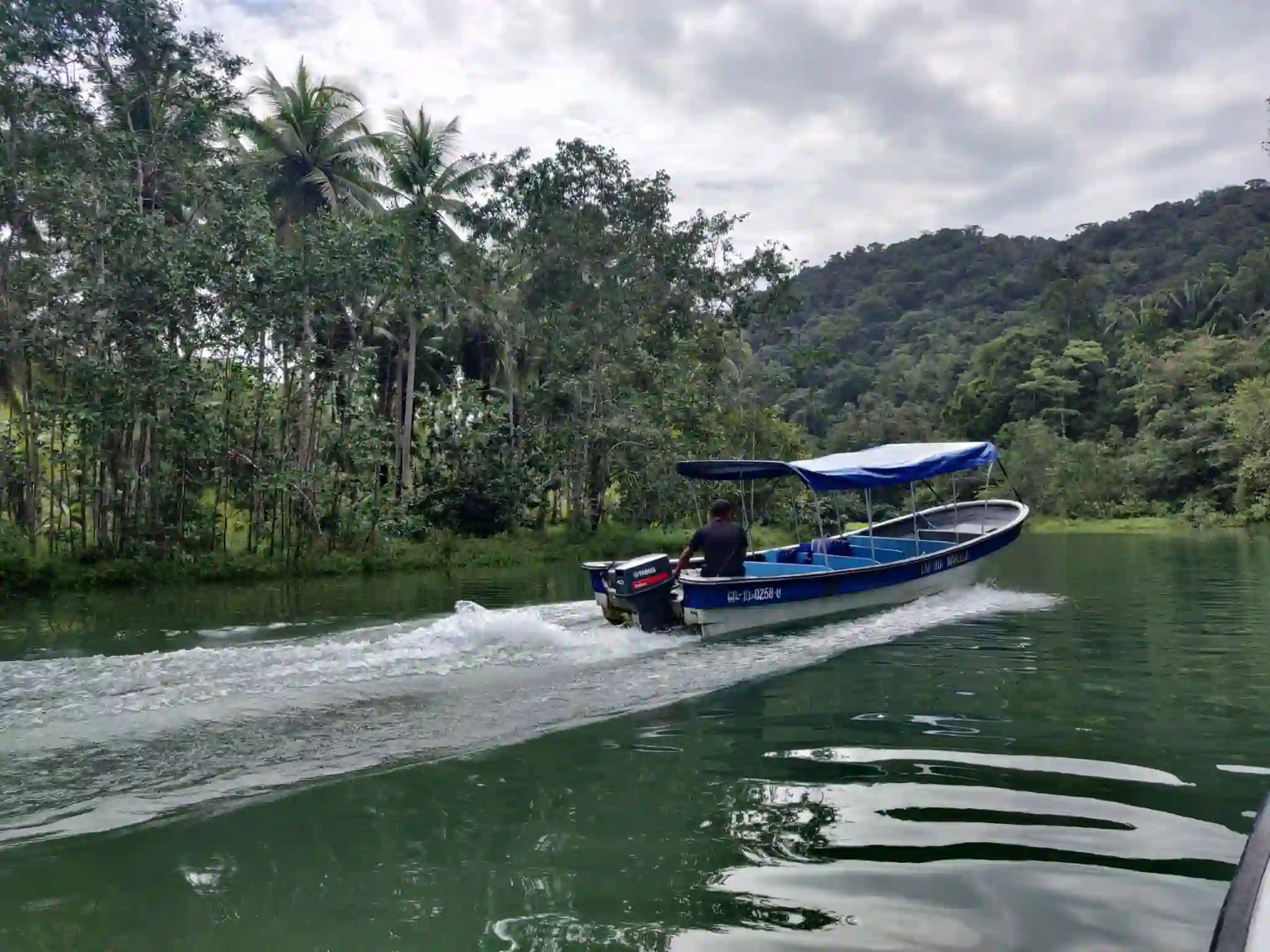 Bahía Solano – Tour de Avistamiento de Ballenas – Ecoturismo en Colombia:  Aventura, Cultura y Tours Personalizados