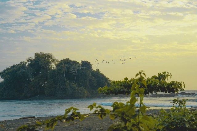 Pacífico Colombiano y Cordilleras Andinas: Una Conexión Vital para la Biodiversidad y la Vida