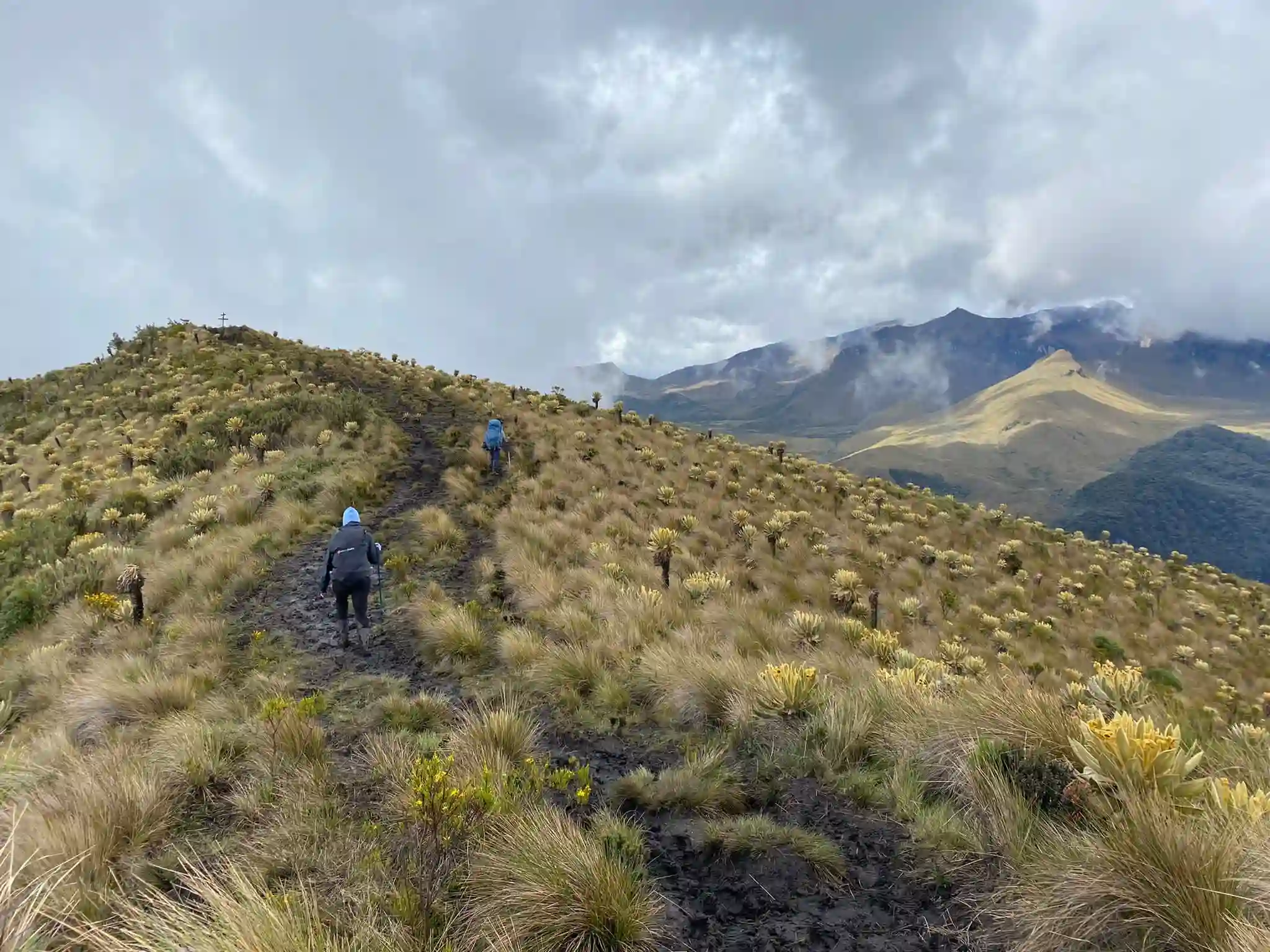 paramo