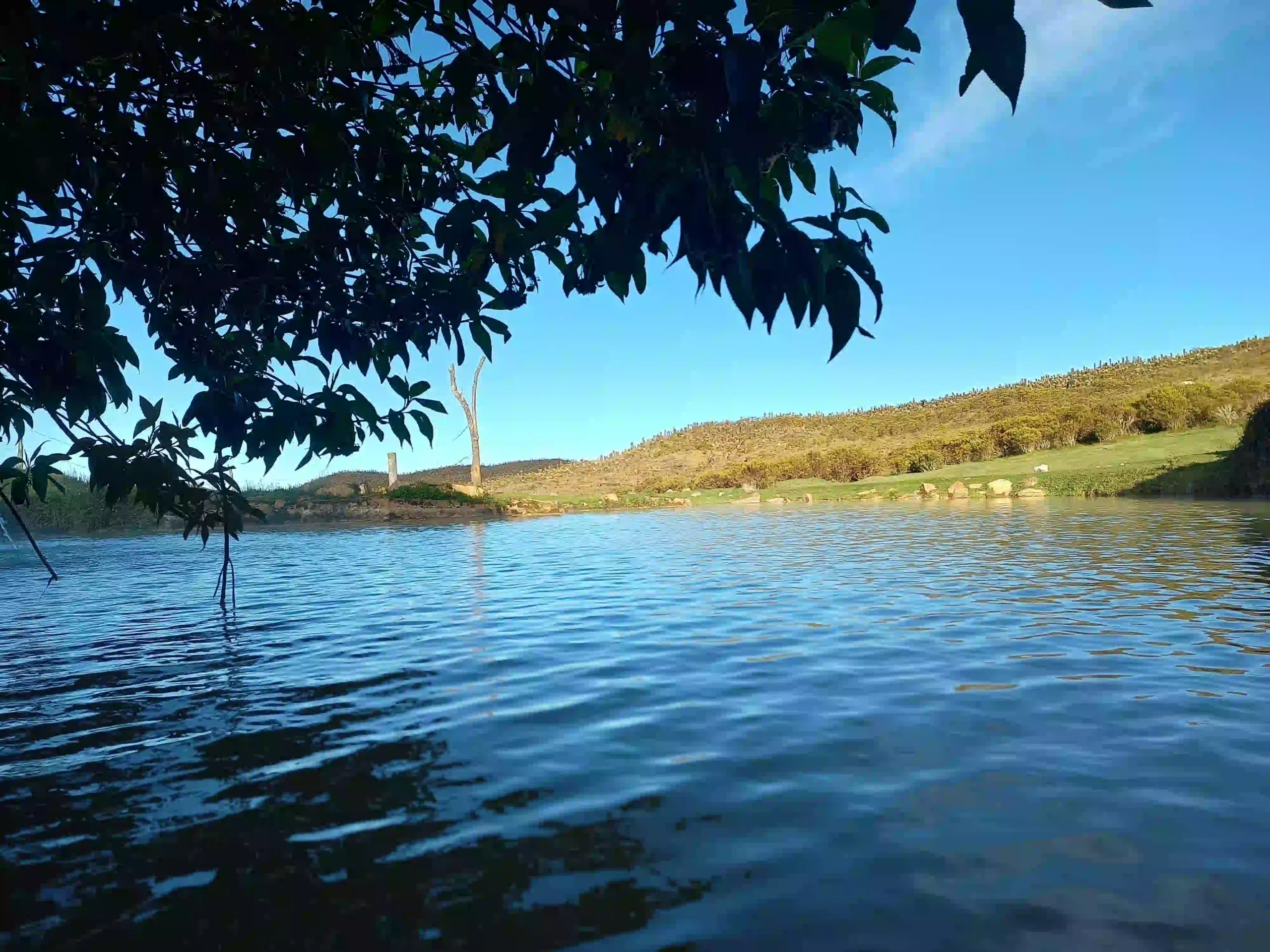 Aguas termales