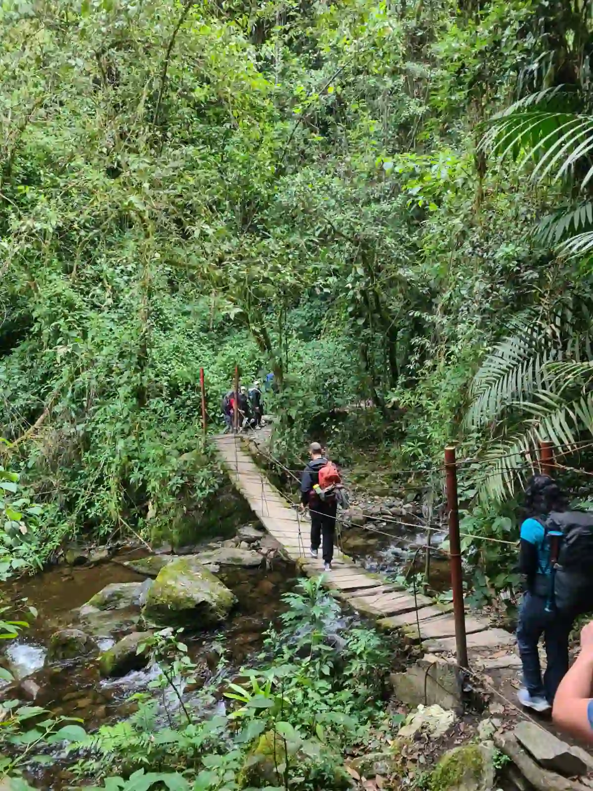 Puente colgante