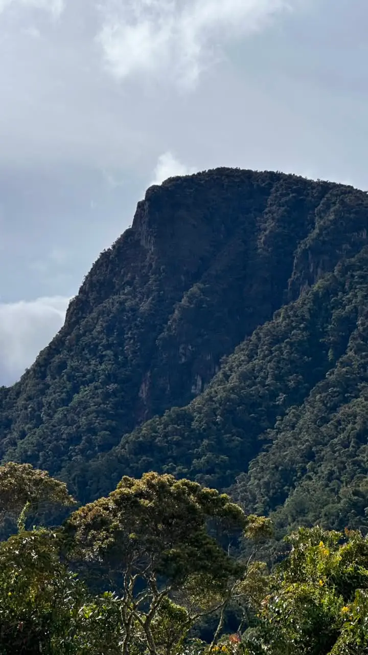 morrogacho