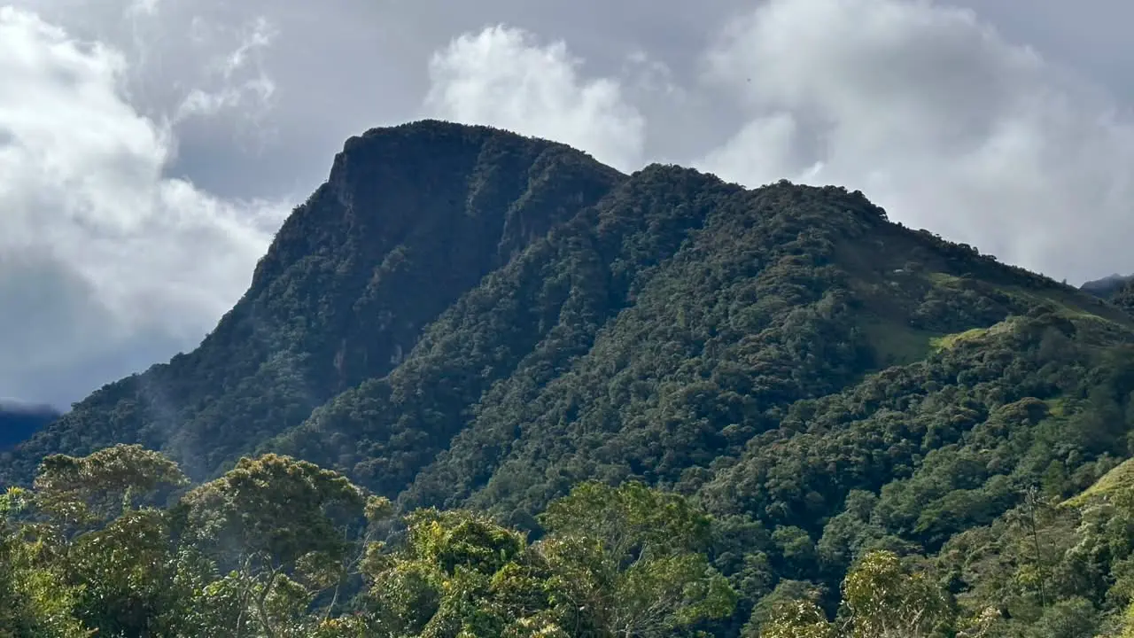 morrogachohorizontal
