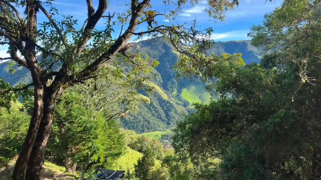 paisaje2