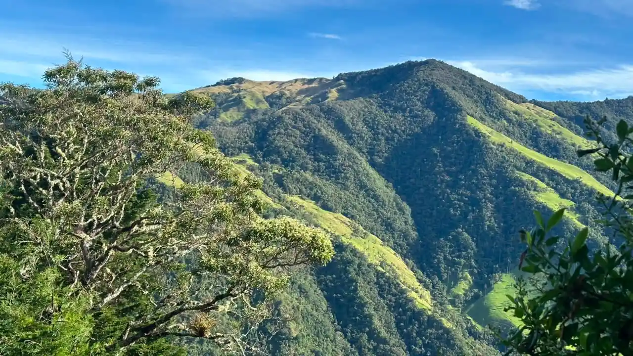 paisajecocora