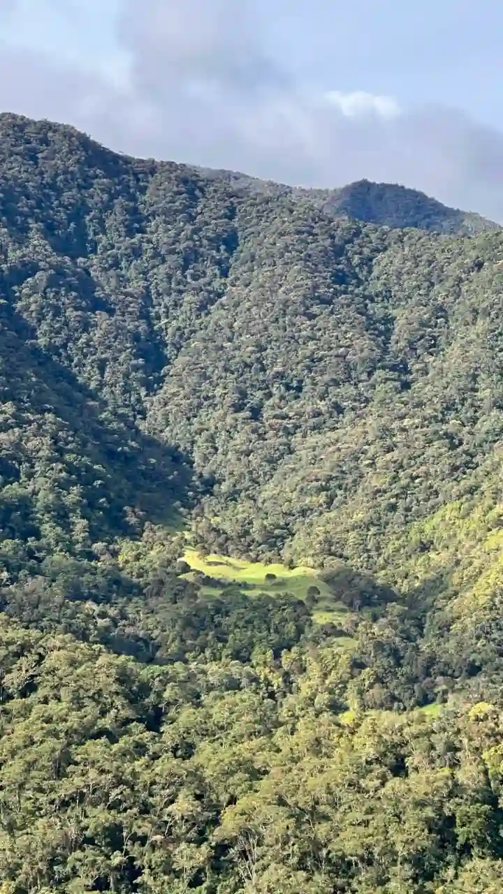 vistamorrogacho