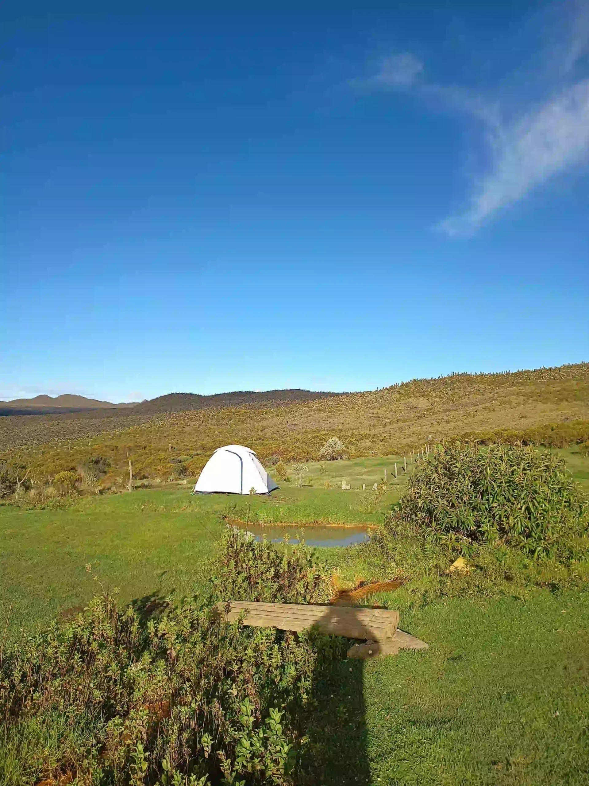 zona camping